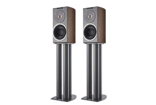 Audiovector R1 Arreté ořech