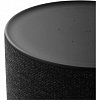 Bang & Olufsen BeoSound Balance černý dub s Google Voice Assistant