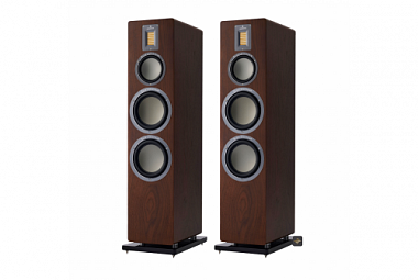 Audiovector QR7 - ořech