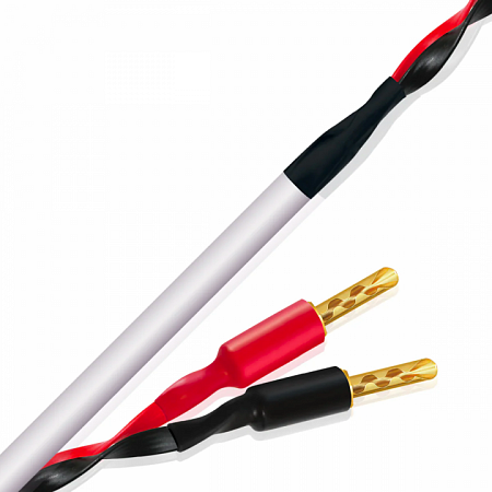 Wireworld Stream 10 - 2x3m