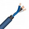 Wireworld Oasis 10 2RCA-2RCA - 1,5m