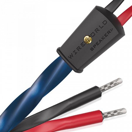 Wireworld Oasis 10 Speaker cable - 2x3m