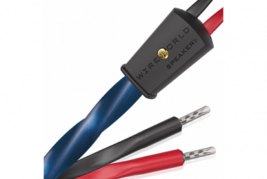 Wireworld Oasis 10 Speaker cable - 2x3m