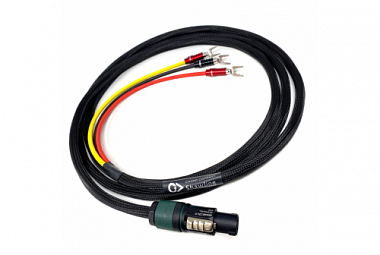 Chord Shawline LFE 6m
